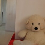 DSCN8478