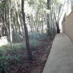 DSCN8635