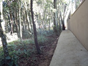 DSCN8635